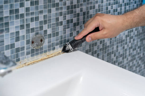 Best Fast Mold Removal  in Brush Prairie, WA